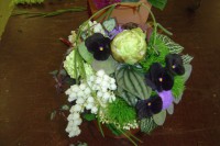 /album/galerie-photos/pratique-juin-09-005-jpg1/